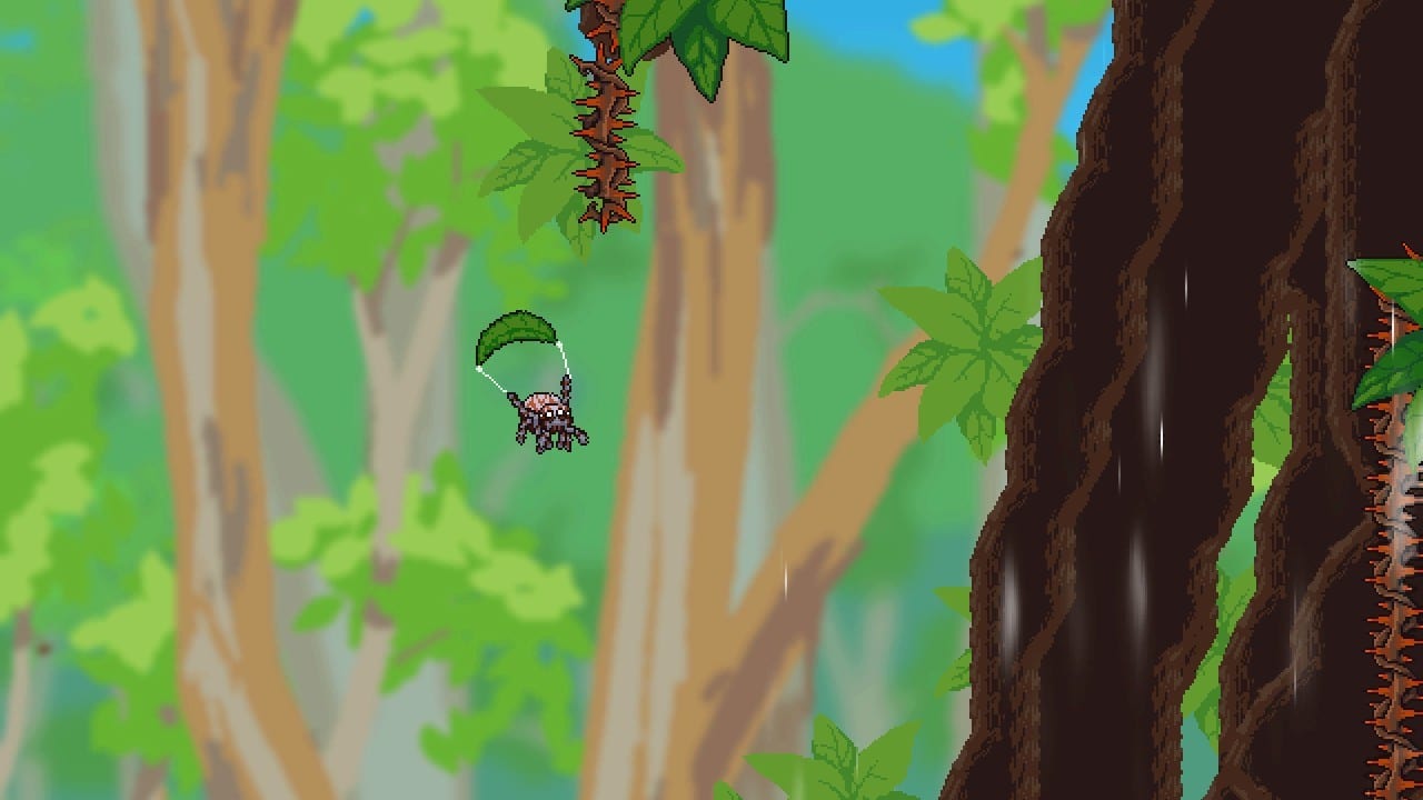 How to Beat the Bowerbird